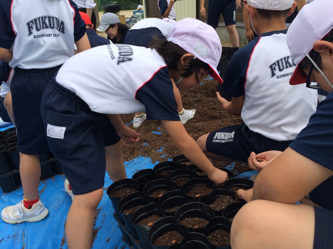 福田小学校の皆さんが一生懸命植え付けを行っている様子の写真