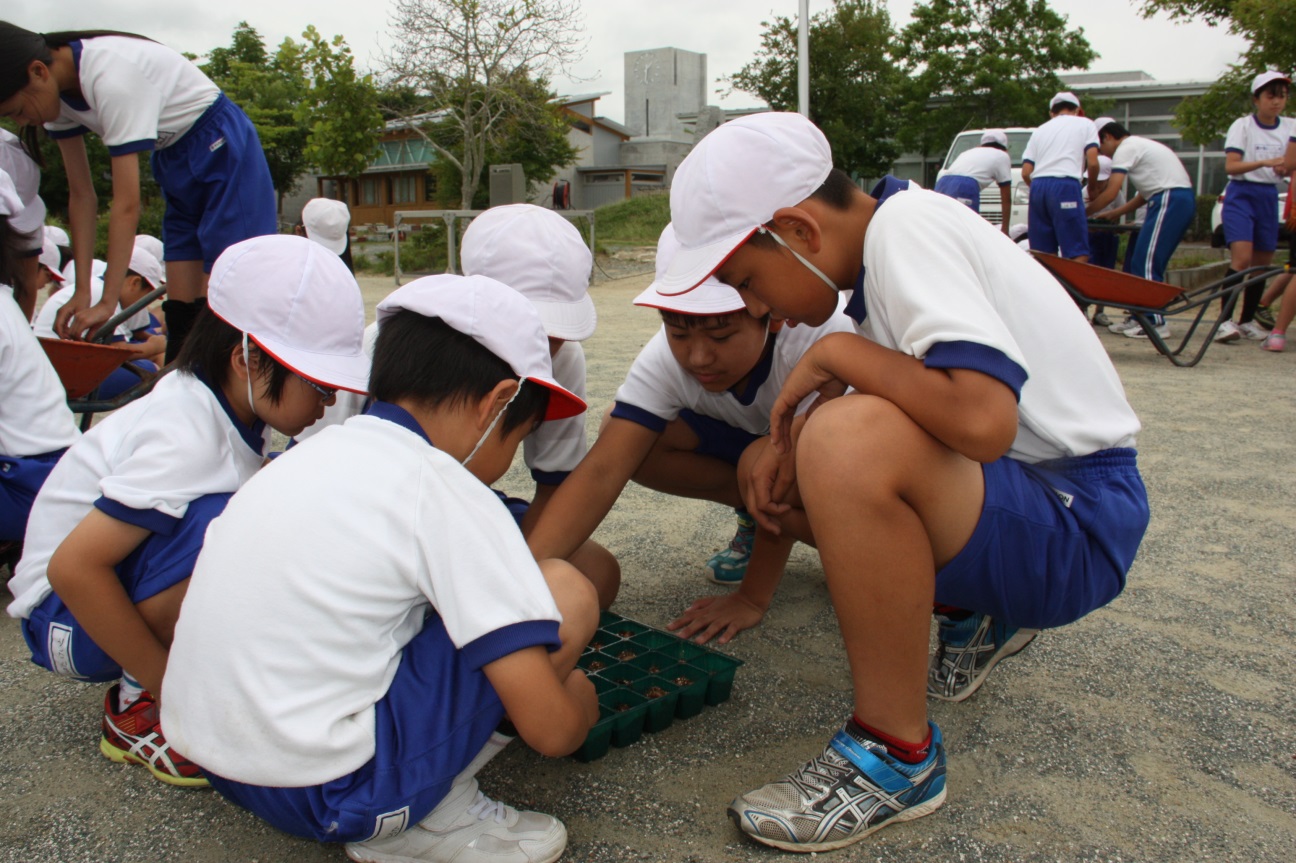 駒ヶ嶺小学校の皆さんが一生懸命植え付けを行っている様子の写真